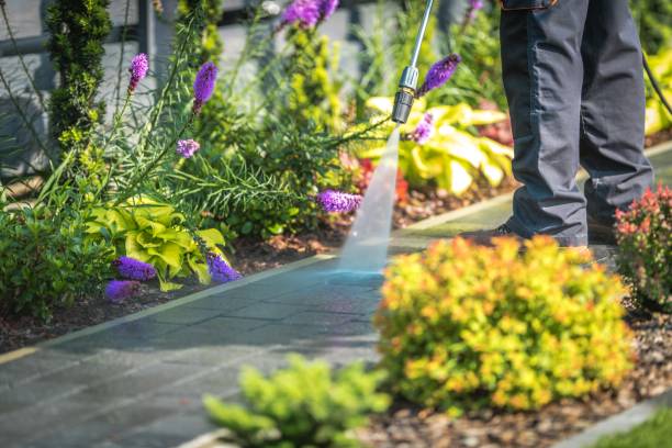 Best Patio and Deck Pressure Washing  in Mcadoo, PA