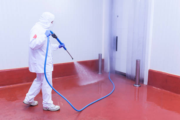 Best Roof Washing  in Mcadoo, PA