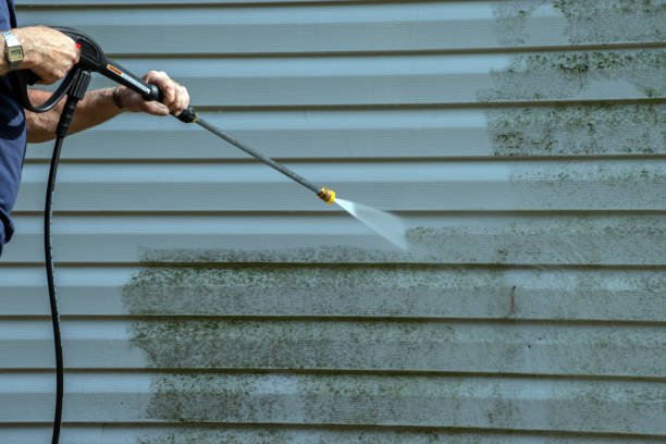 Best Solar Panel Cleaning  in Mcadoo, PA